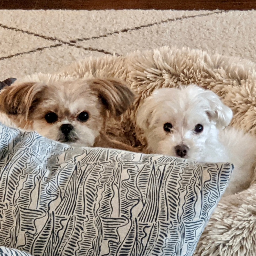 Meet your Posher, Samantha